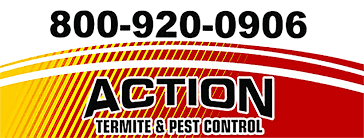 A full service environmentally friendly pest management company that has been a leader in new jersey's pest control industry for two generations. Action Termite And Pest Control Home Facebook