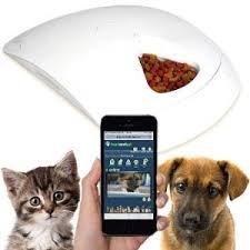 #5 best microchip automatic feeder: The 25 Best Automatic Cat Feeders Of 2020 Cat Life Today
