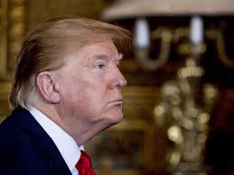 Vor kevin allein zu haus war sie bereits in filmen wie dick tracy oder beetlejuice zu sehen. Donald Trumps Auftritt Aus Kevin Allein In New York Gestrichen Trump Mit Seitenhieb Politik