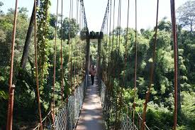 The park entrance at kuala koh in kelantan was opened in 1995. Budget Hotel Dan Homestay Gua Musang Taman Negara Kuala Koh Gua Musang