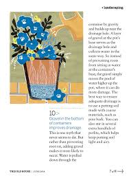 Pin By Sarah Hammond On In The Garden Gardening Tips Drainage Slugs
