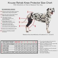 interestprint mens boxer briefs dachshund xs 3xl dalmatian