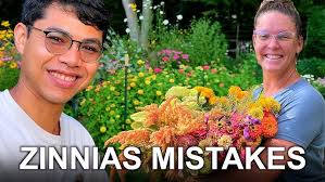 Everything You Need to Know about Growing Campanula Canterbury Bells  Flowers