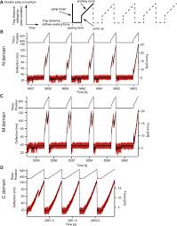 Rosyam nor, syamsul yusof, fattah amin. Folding And Assembly Of The Large Molecular Machine Hsp90 Studied In Single Molecule Experiments Pnas