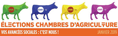 Le site 3977.fr (accessible 7 jours sur 7 pendant toute la durée de la crise sanitaire). Cfdt Elections Chambres D Agriculture Du 14 Au 31 Janvier 2019 Tous Concernes