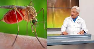 Epidemiólogo Francisco Durán alerta sobre la llegada del virus Oropouche a Cuba