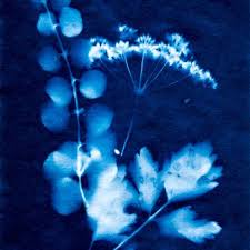 Cyanotype Silence Ca Pousse Replay Silence Ca Pousse Chien Silence Les mystiques troggs de pierre créent ces monstruosités fongiques à partir des champignons géants qui poussent au nord. pinterest
