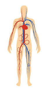 how does reflexology work taking charge of your health