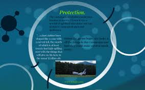 The Hunger Games: The Cornucopia. by Annika Perez