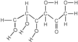 Functional Groups Biology For Majors I