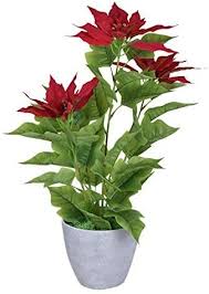 See more ideas about plants, inside plants, planting flowers. Buy Yatai Artificial Red Poinsettia Flowers Potted Artificial Plants In Ceramic Vase For Home Garden Office D Eacute Cor Online Shop Home Garden On Carrefour Uae