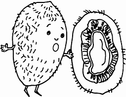 Find more coloring pages online for kids and adults of sweet kiwi fruit sb97f coloring pages to print. Kiwi Coloring Pages Best Coloring Pages For Kids