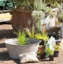 Diy Mini Teich Aus Zinkwanne Aus Diy Miniteich Zinkwanne In 2020 Backyard Decor Garden Decor Plants