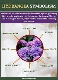 You can break it by hand or with shears and it will drop as an item. Hydrangeas Flower Symbolism And Meaning Symbol Sage