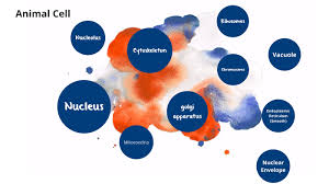 Maybe you would like to learn more about one of these? Biology Project By Emily Hayden