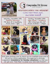 Our organization is dedicated to the rescue, placement, and care of animals in need via adoptive placements, advocacy, and providing educational resources. Cpr Dogs On Twitter Dog Adoption Events In Southbury Ct Sat Sun Apply Now Http T Co 5hs72jfa0o For Preapproval Please Share Http T Co 6uu6vkcz8h
