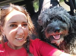 Pet sitting and dog walking services available