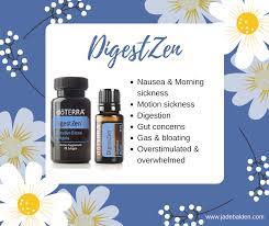 If you are pregnant, nursing, or under a doctor's care, consult your physician. Digestzen Jade Balden