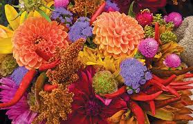 Maybe you would like to learn more about one of these? Buy A Local Bouquet Edible Phoenix