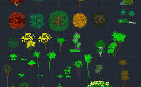 Download these autocad models right now! Plants Cad Block And Typical Drawing