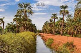 جمال النيل والنخيل | صباح الشروق. Ù†ÙˆØ±ÙŠ Ù…Ø¯ÙŠÙ†Ø© Ø§Ù„Ø§Ù„Ù€Ù‡Ø© Ø§Ù„Ø³ÙˆØ¯Ø§Ù† Ø§ØµÙ„ Ø§Ù„Ø­Ø¶Ø§Ø±Ø© Facebook
