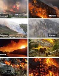 Marmaris gonenc real estate news has been warning against fire in the house under the fire likewise, the same applies to your home in marmaris real estate housing market. 2rhacmsuxqicxm