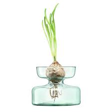 Lsa Canopy 10cm Vase Bulb Planter Recycled Glass Vases Recycled Glass Bulb Vase