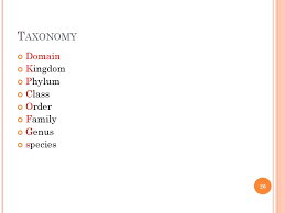Assignment 3 Classification Of Microbes Ppt Download