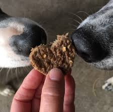 First, it makes certain nutrients more readily available for your dog. Diabetic Dog Treats Uk Pasteurinstituteindia Com