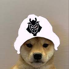 G2 Esports Dogwifhat Dogwifhat Dog With Hat Fortnite Dog Dog Pfp