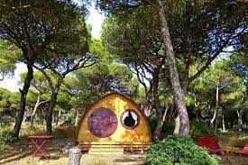 Maybe you would like to learn more about one of these? Secluded Camping Near Fort Walton Beach Florida Glamping Hub