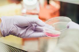 Jul 22, 2020 · hepatitis c. Hepatitis C Rasche Heilung Moglich Rudolfinerhaus