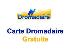 Galerie carte anniversaire animee et musicale gratuite Cartes Anniversaire Gratuites Et Musicales Dromadaire Nanaryuliaortega Blog