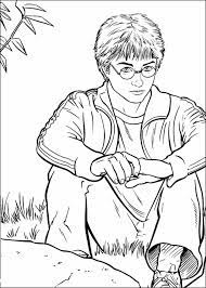 1001 Ideas De Dibujos De Harry Potter Magicos Dibujos De Harry Potter Dibujos Harry Potter