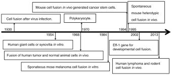 Printable animal cell diagram to help you learn the organelles in an animal cell in preparation for your test or quiz. Cell Cell Fusion As An Important Mechanism Of Tumor Metastasis Review