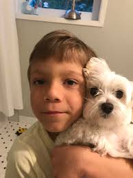 Susan Barnes Obituary