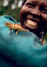 Eesti Loodus 10/2020