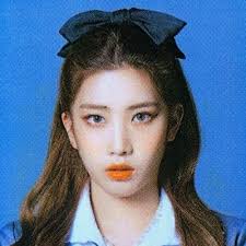 Daniel Mutton (@DanielMutton_)