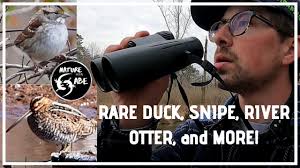 4 Tips to Make Your Winter Birding, Better!