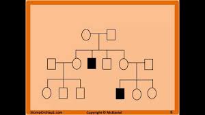 Pedigrees Patterns Of Genetic Inheritance Stomp On Step1