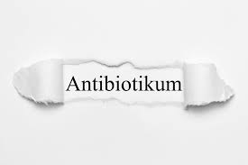 Darmsanierung Nach Antibiotika Innovall Mikrobiotische Praparate