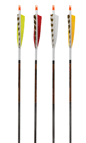 Beman Ics Bowhunter Carbon Arrows