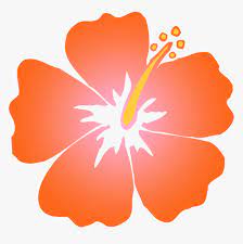 Maybe you would like to learn more about one of these? Red Hibiscus Flower Clip Art Orange Clipart Orange Hibiscus Flower Clipart Hd Png Download Kindpng