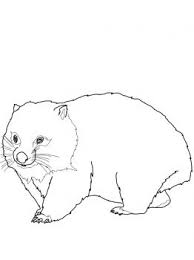 Click the cute bears hugging coloring pages to view printable version or color it online (compatible with ipad and android tablets). Wombat Coloring Page Supercoloring Com Animal Coloring Pages Coloring Pages Printable Coloring Pages
