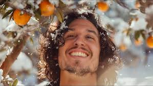 ARREGLANDO UNA JAULA CON PLANTAS