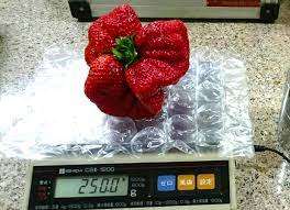 Check spelling or type a new query. 250 Gram Strawberry Breaks 32 Year Old World Record Anuk Mobile