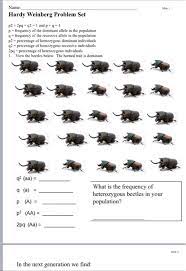 However, for individuals who are unfamiliar with algebra, it takes some practice working problems before you get the hang of it. Solved Slide 1 Name Hardy Weinberg Problem Set P2 2pq Chegg Com