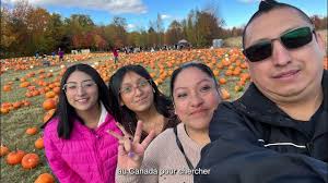 Hétérogène: Jose Patlan