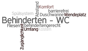 Din Norm Tipps Kosten Fur Das Behinderten Wc