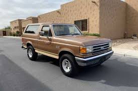 Image result for Dark Chestnut 1991 Bronco